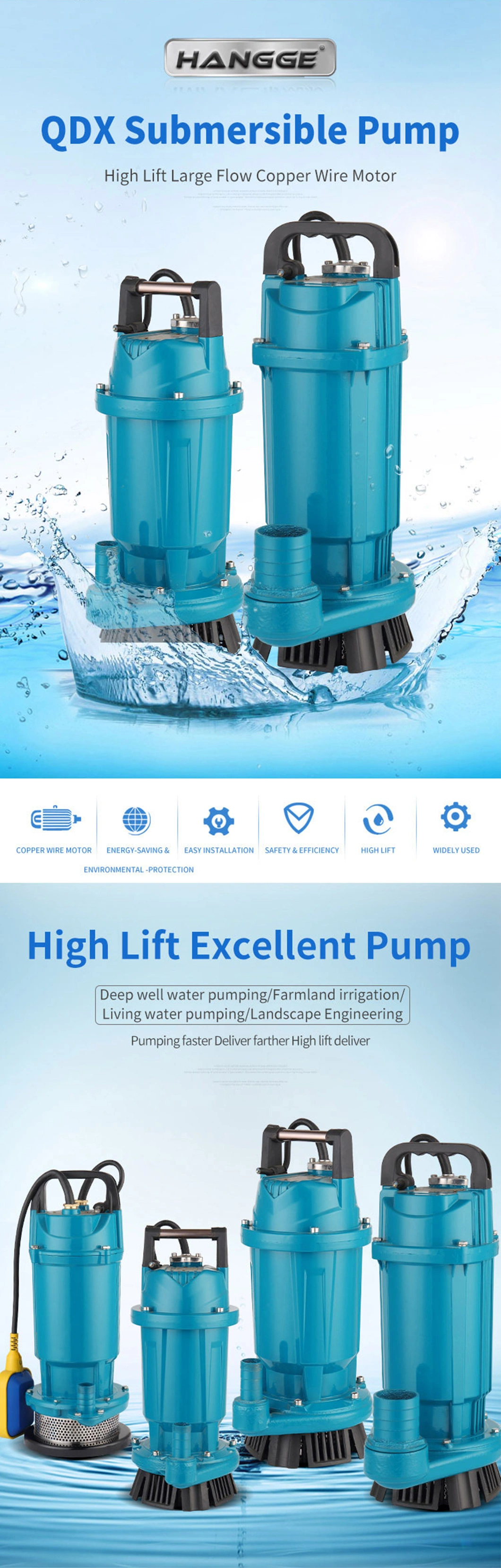 Qdx 1HP 1inch Submersible Water Pump with Floater for Clean Water Home Garden Use