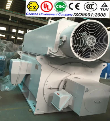 Explosion Proof Flameproof Asynchronous Synchronous AC DC Electrical Induction Electric Motor